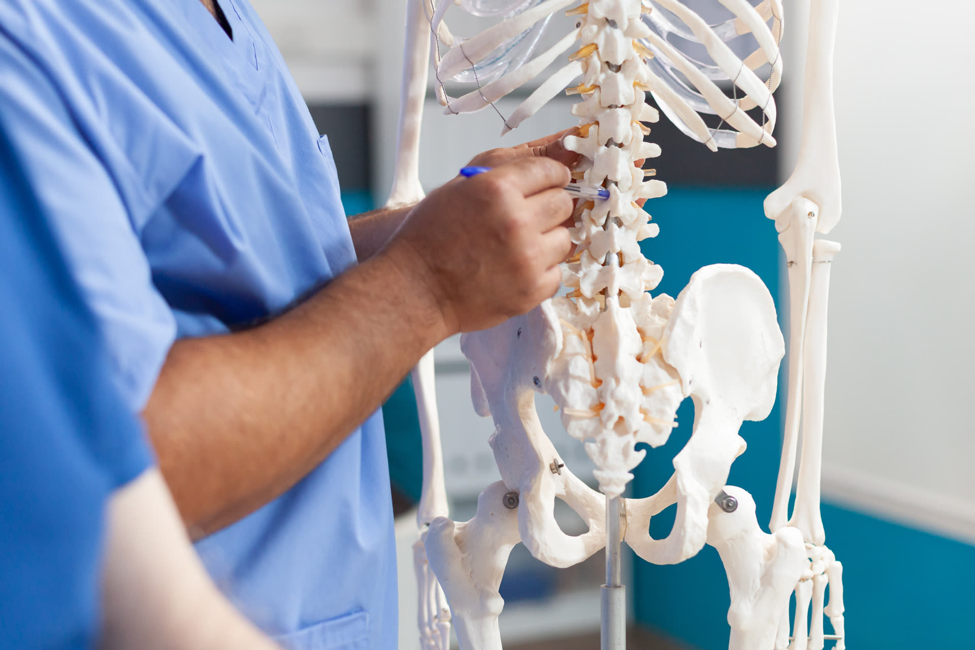 Medic indicând vertebrele pe un schelet
